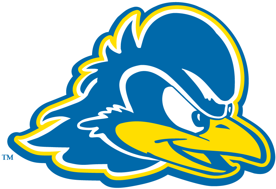 Delaware Blue Hens 2009-Pres Secondary Logo diy DTF decal sticker